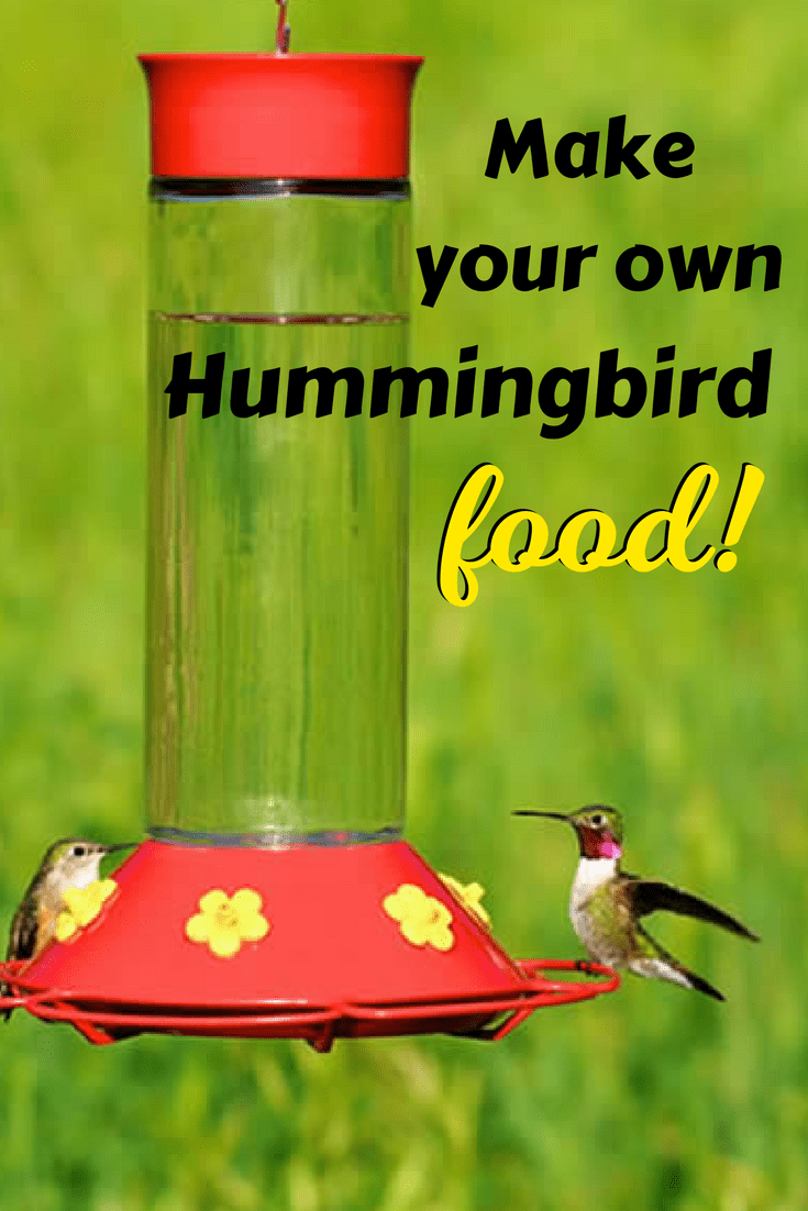 Hummingbird nectar comes from the store full of red dye and is expensive. Making your own hummingbird food is fast, healthier and way cheaper! Make your own hummingbird food to attract these amazing birds to your yard. Learn how to make DIY hummingbird food with only 2 ingredients.