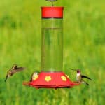 A hummingbird feeder with red base and yellow flowers hangs against a green blurred background. Two hummingbirds hover eating Easy 2-Ingredient Homemade Hummingbird Food.