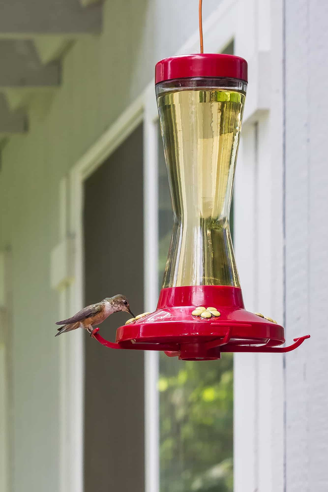 Make your own hummingbird food. It's easy, cheap and healthier for the birds! For the recipe and other helpful tips visit Made in a Pinch and follow us on Pinterest!1