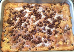 Completed chocolate chip cake