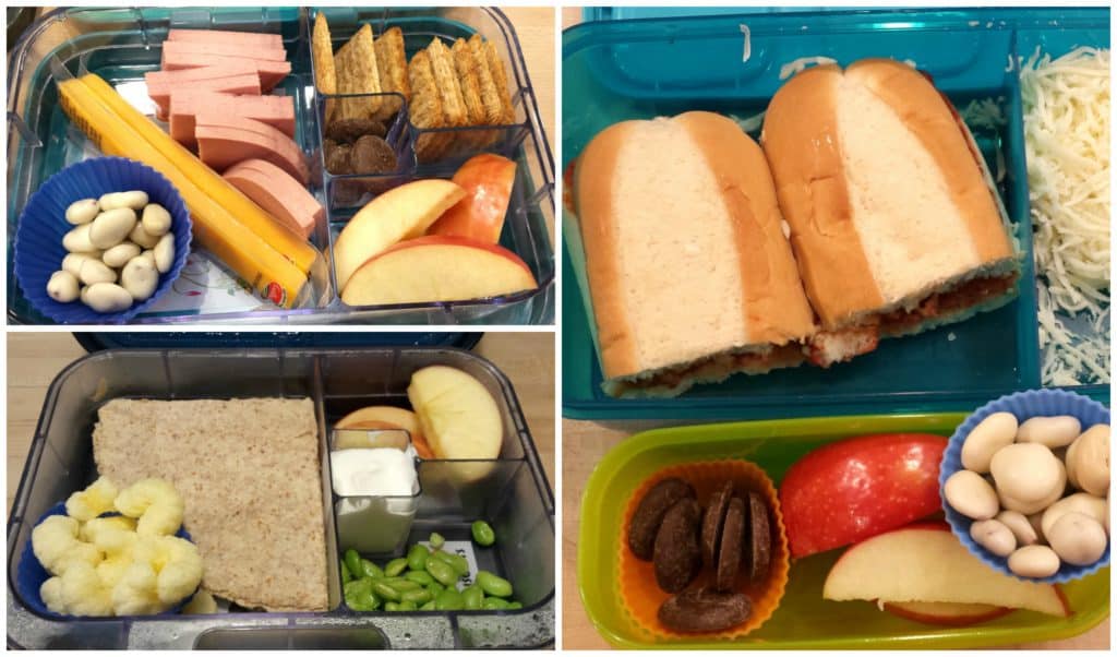 Introducing Made In A Pinch Lunch Bunch! Made In A Pinch