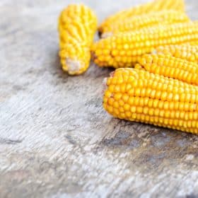 Beautiful corn on the cob. Get our tip on how to make corn on the cob simple and fast at Made In A Pinch. Follow us on Pinterest for more helpful tips!