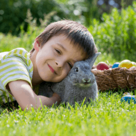 A young boy lies in the grass smiling, holding a gray rabbit, with a colorful Easter basket nearby.