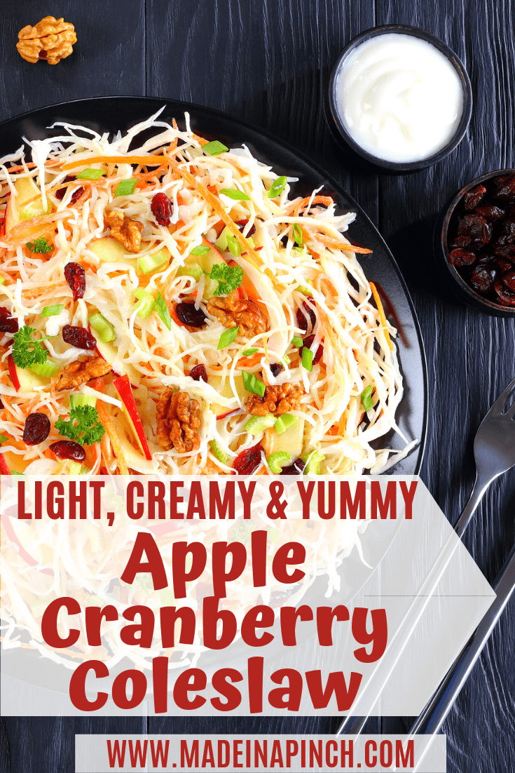 Cranberry apple coleslaw is the very best version of a traditional summer classic side dish. Grab our recipe on Made in a Pinch and follow us on Pinterest for more easy recipes!