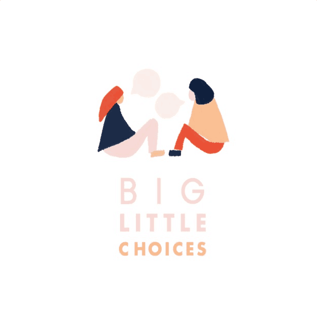 Big Little Choices icon
