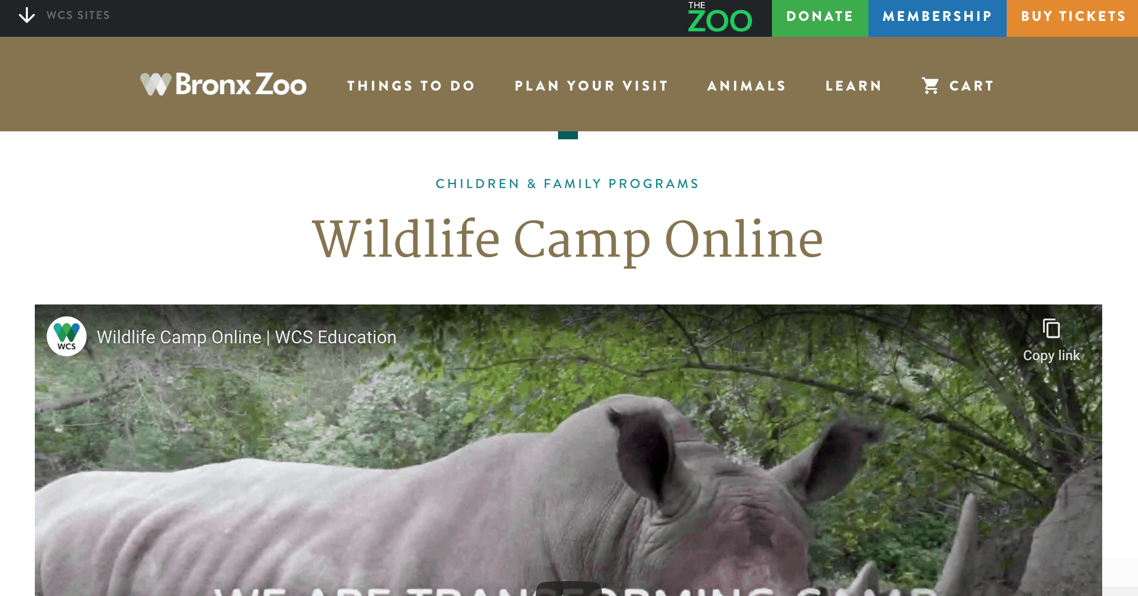 Bronx Zoo summer camp homepage