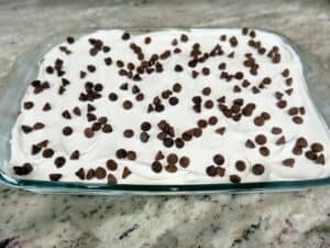 oreo lasagna with chocolate chips on top