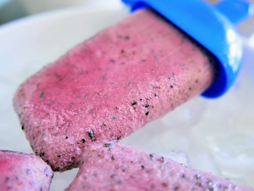 closeup of frozen blueberries and cream popsicle