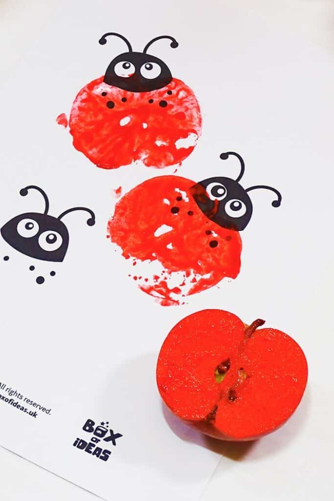 apple stamped ladybug