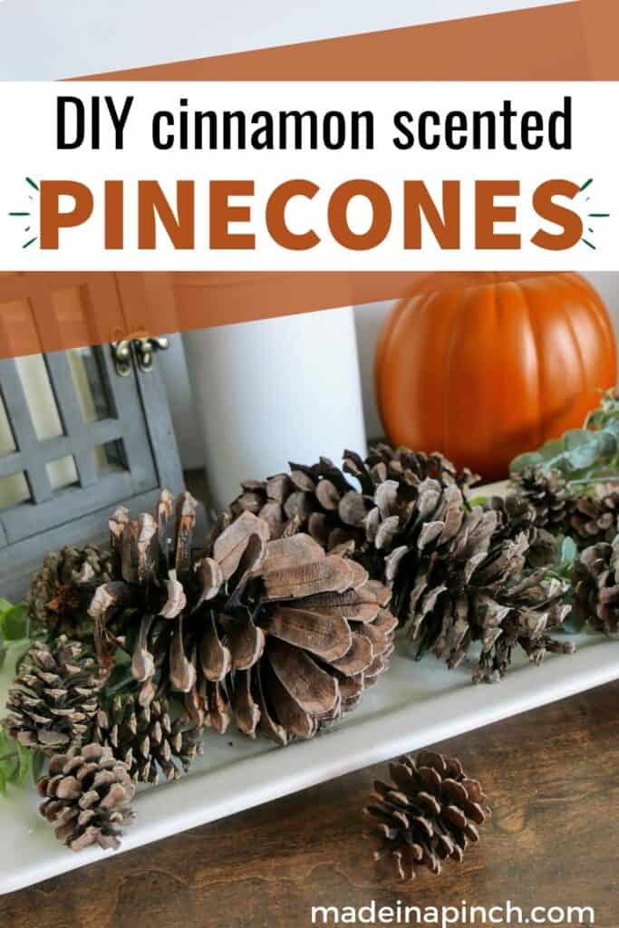 DIY scented pinecones pin image