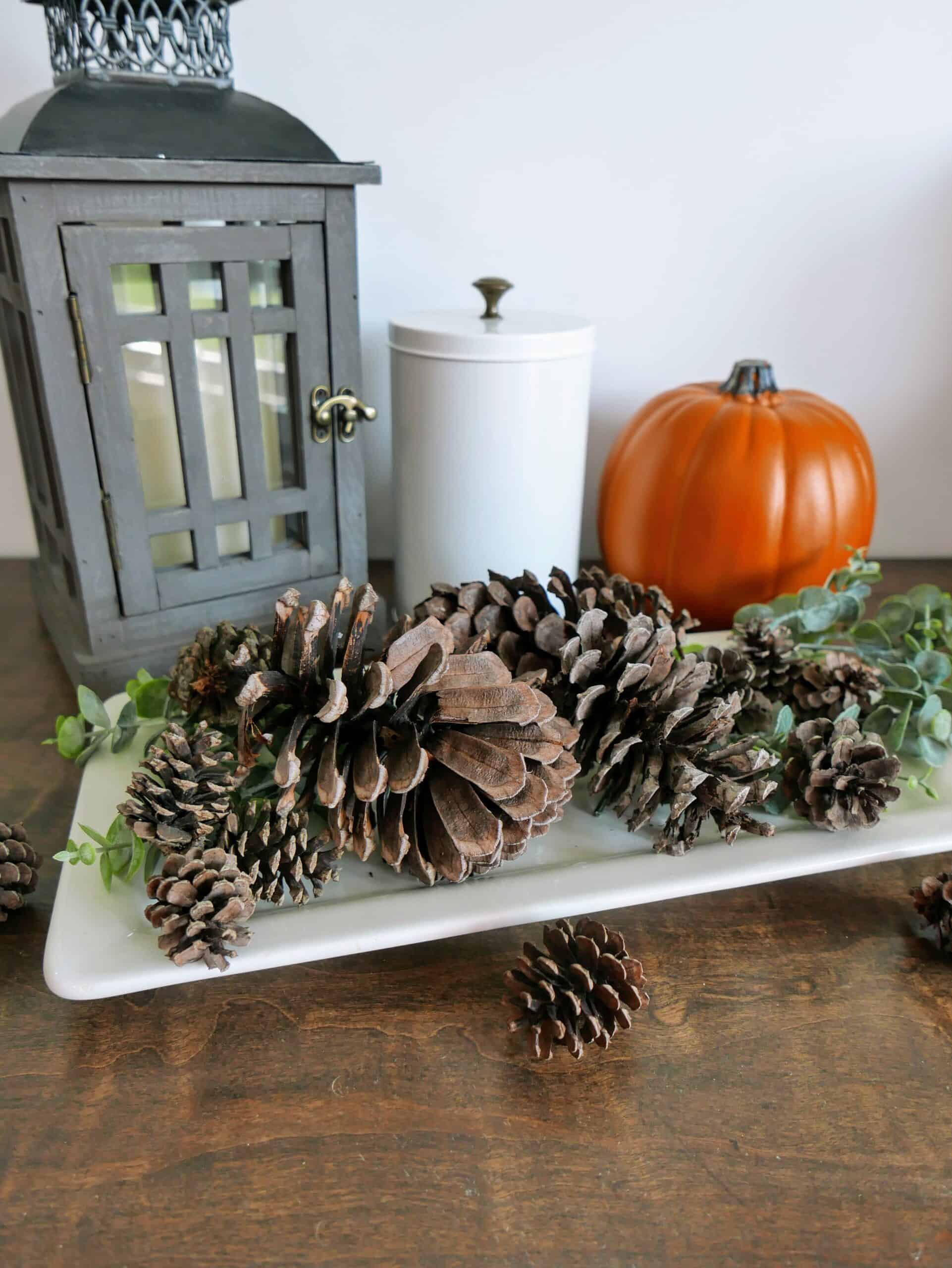 Make Your Own Cinnamon Scented Pine Cones