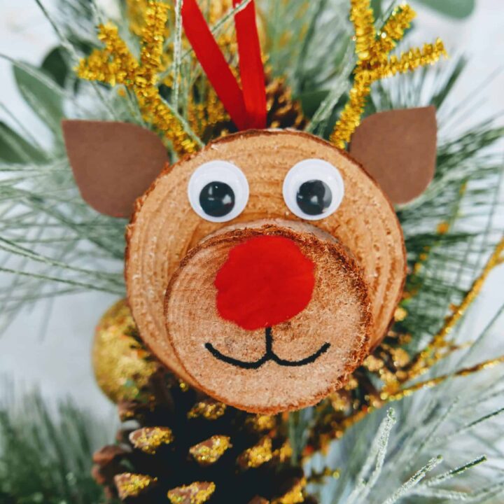 Rudolph wood slice ornament