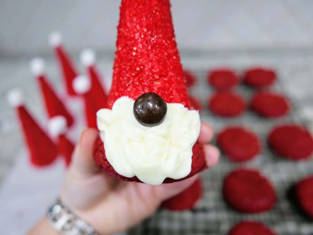 constructed Santa gnome cookie