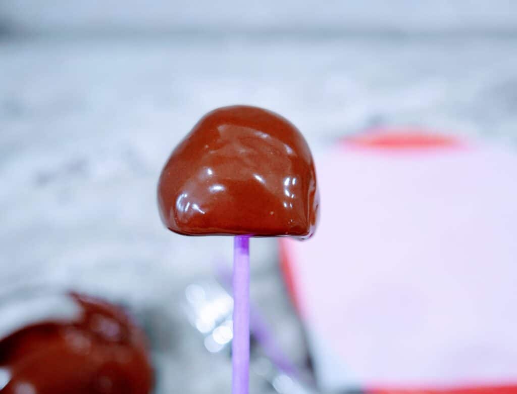 chocolate-covered strawberry on a stick