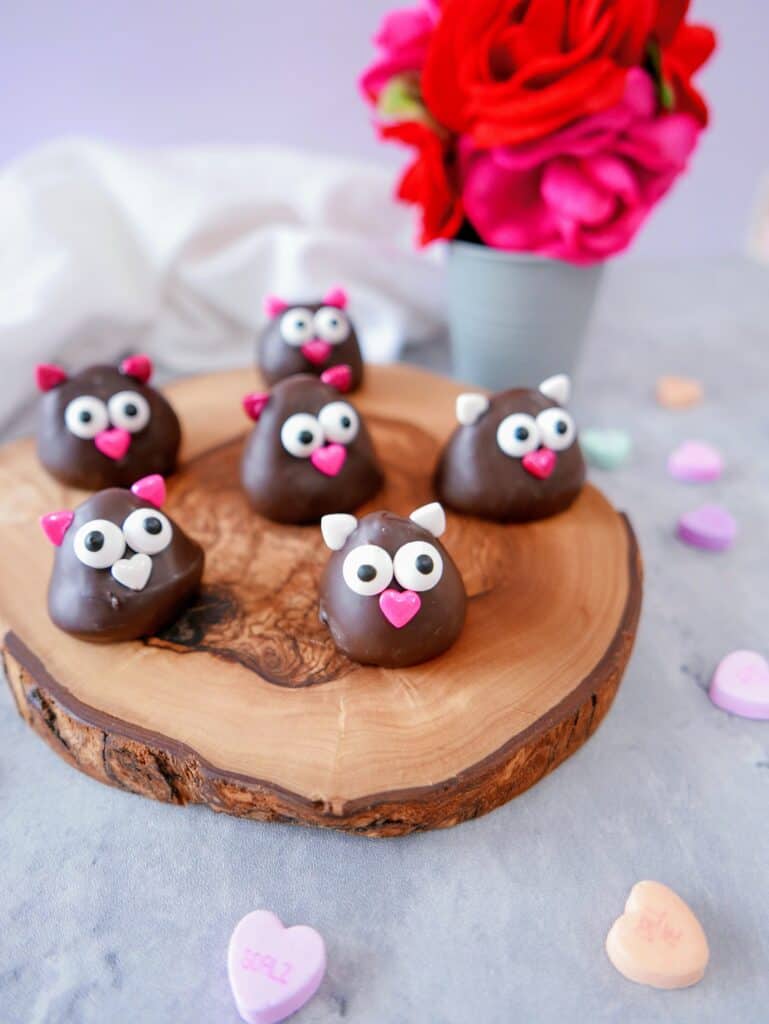 Valentine's Day chocolate-covered strawberries decorated as lovebirds