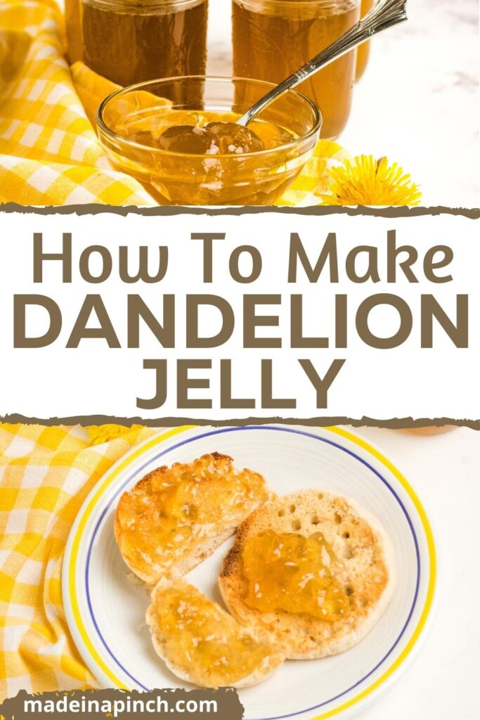 how to make dandelion jelly pin image