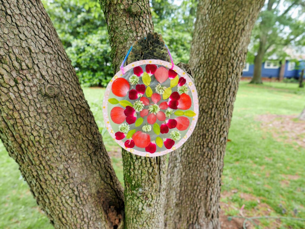 completed DIY nature mandala hanging in a tree outside