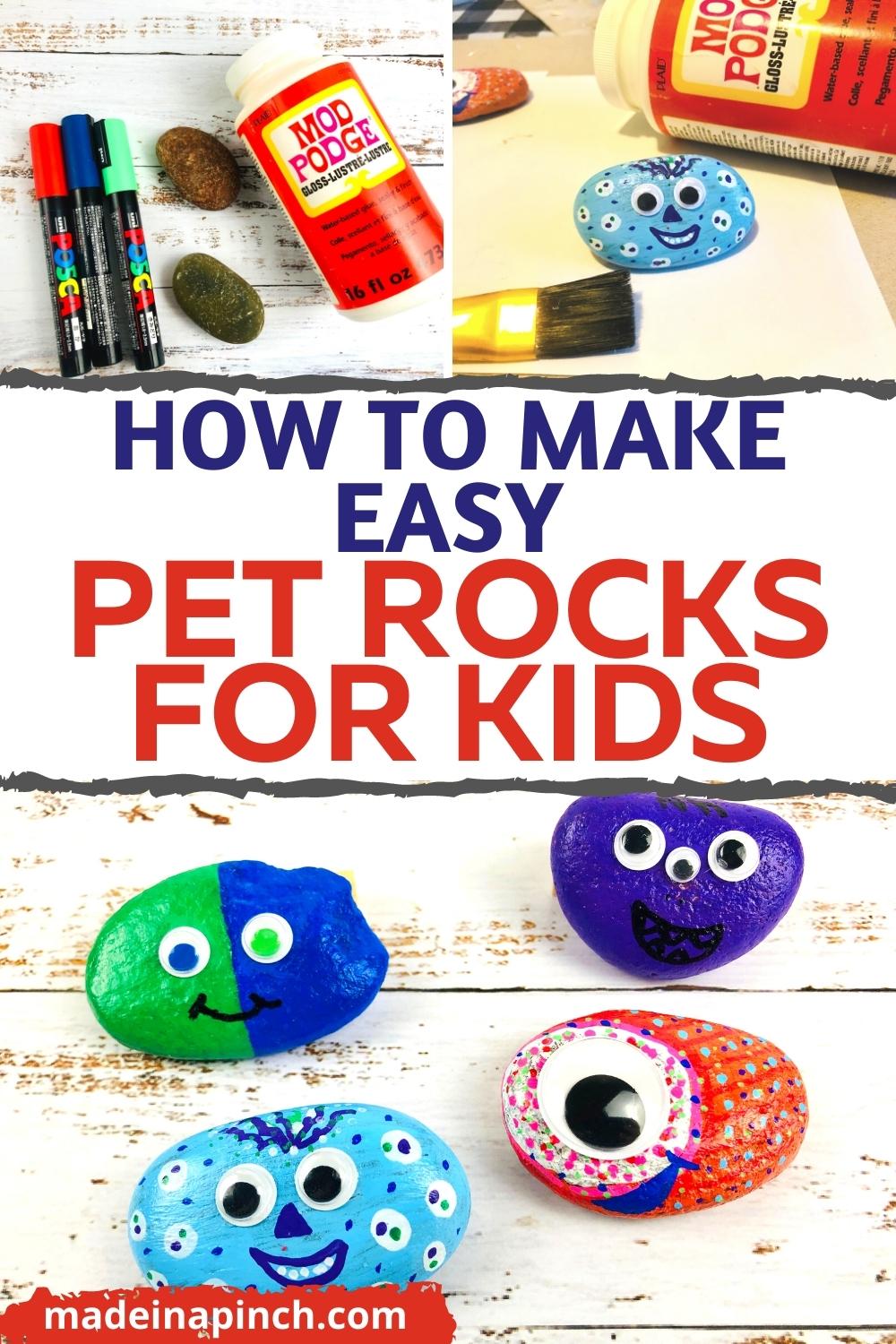 Easy Pet Rocks Craft Idea For Kids - Made In A Pinch