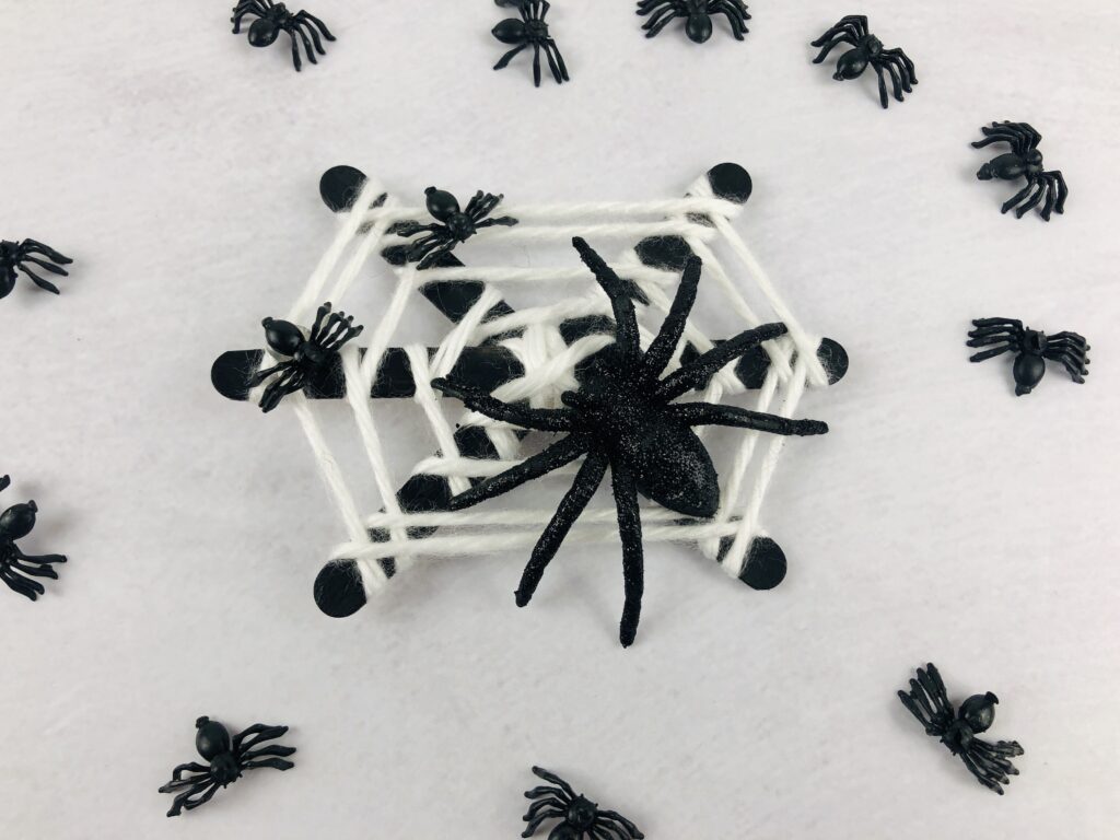 popsicle stick spiderweb craft finished