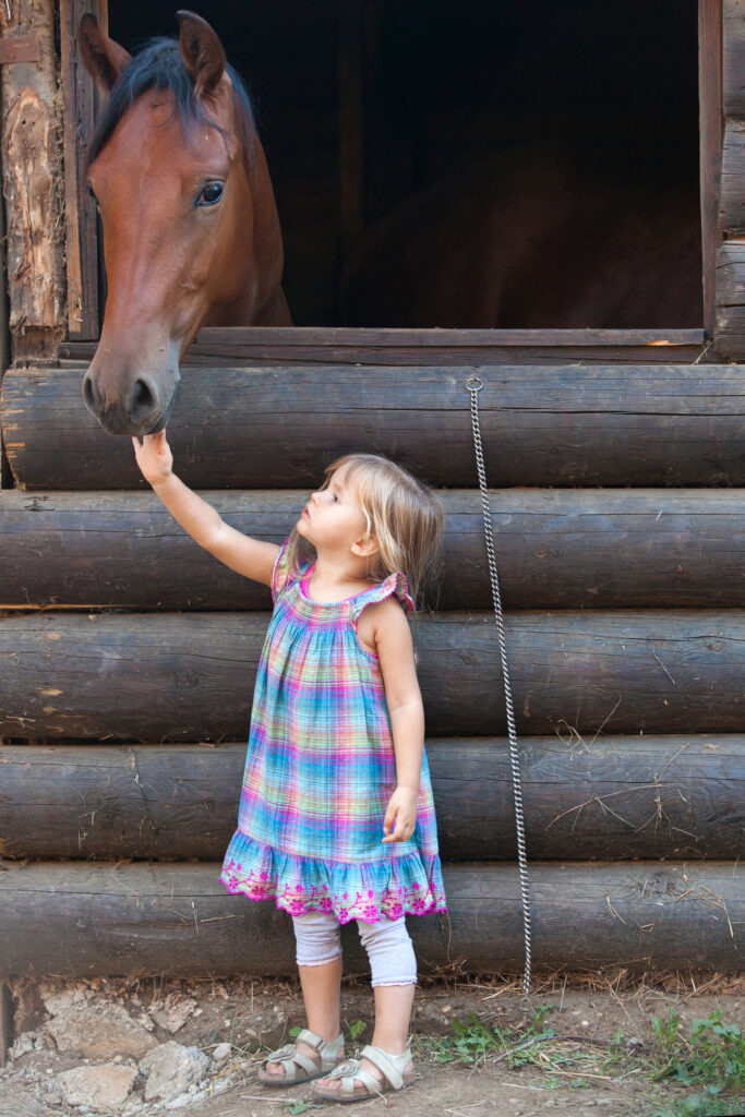 girl petting a horse is perfect for gifts for horse lovers