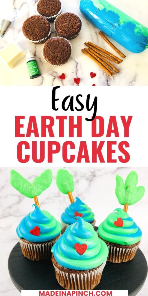 Earth Day cupcakes pin
