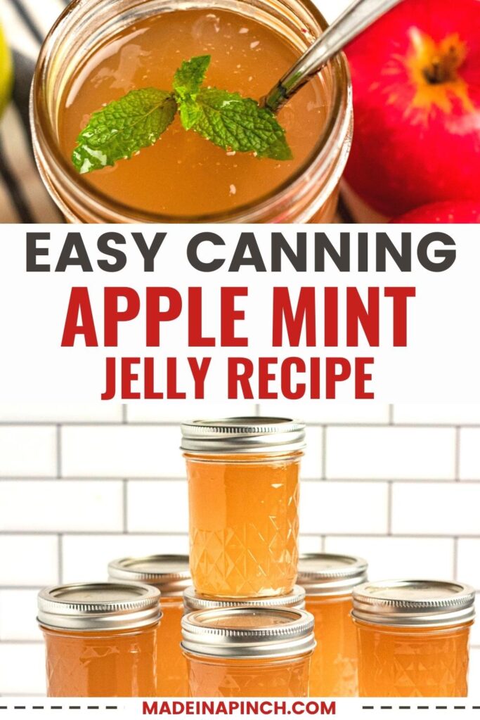 Apple mint jelly canning recipe pin image