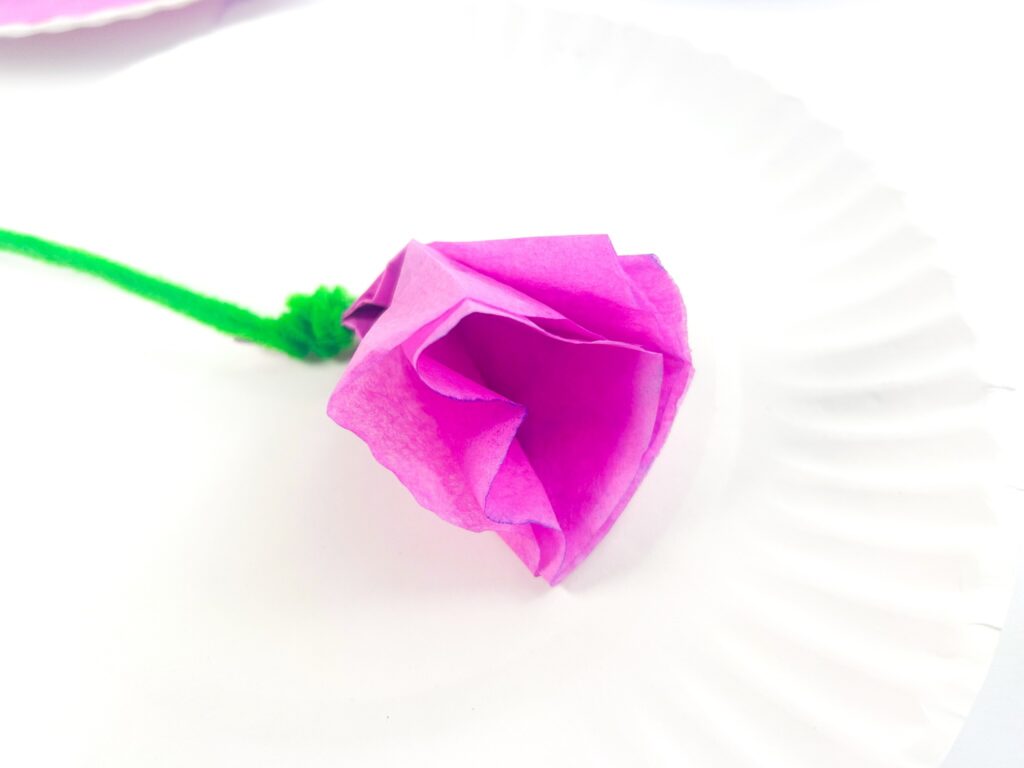 opening coffee filter flower