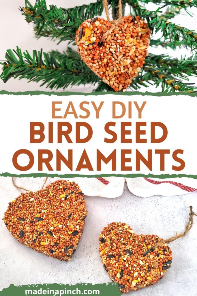 DIY bird seed ornaments pin image