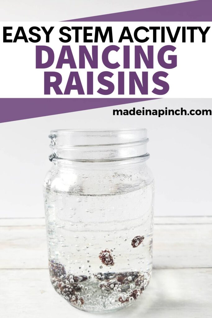 dancing raisins pin image