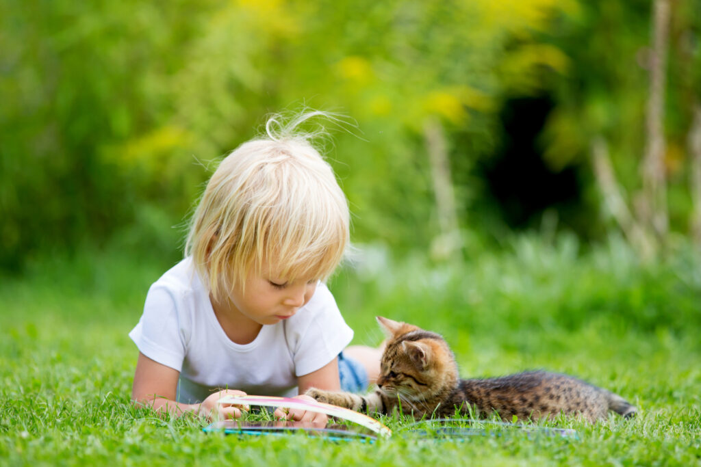 child outside with cat