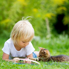 child outside with cat