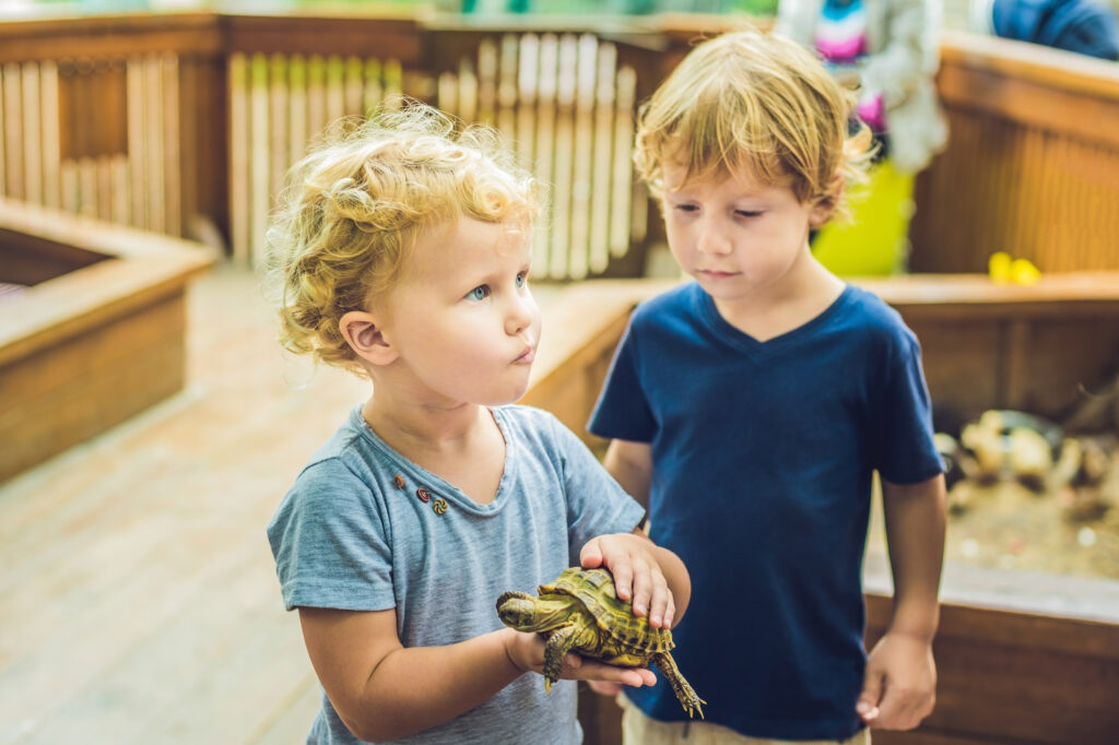 children holding a turtle