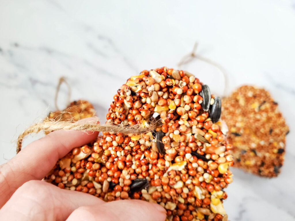 adding hanger tie to bird seed ornaments