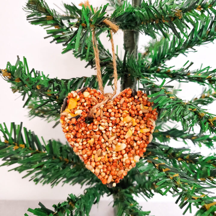 Homemade Bird Seed Ornaments