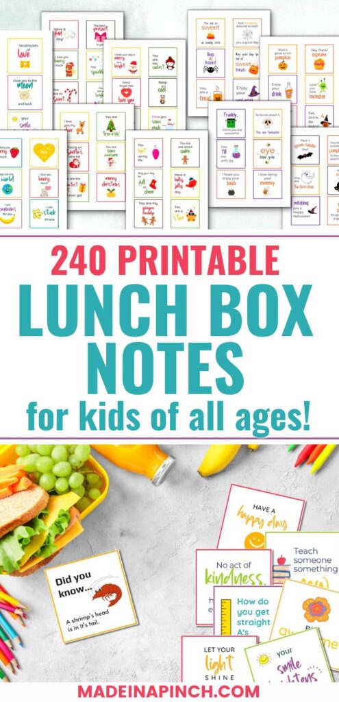 lunch box notes pin image