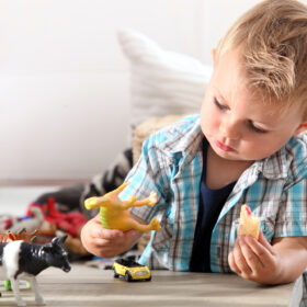 boy playing with animal toys