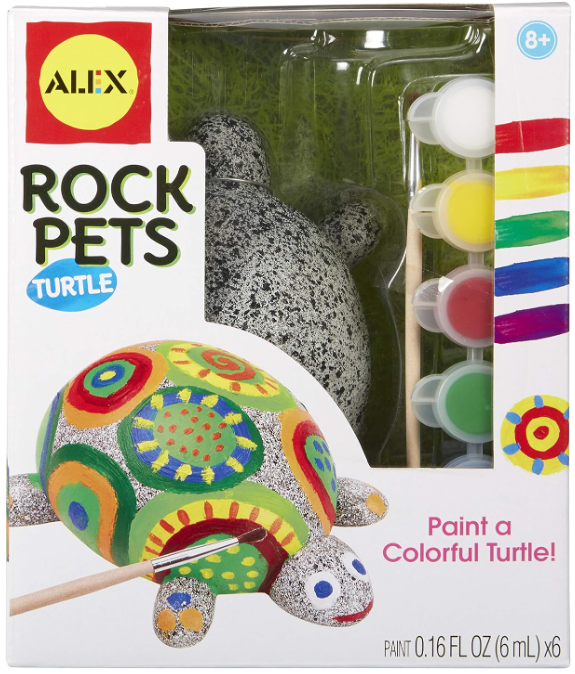 pet rocks turtle painting kit